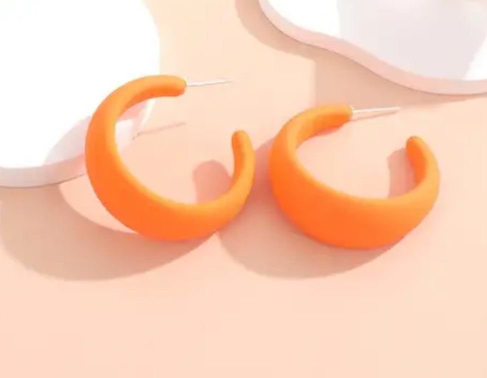 Fashion Hoops Earrings