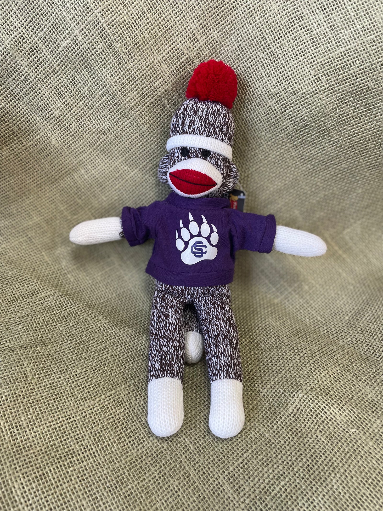 High School Sock Monkeys